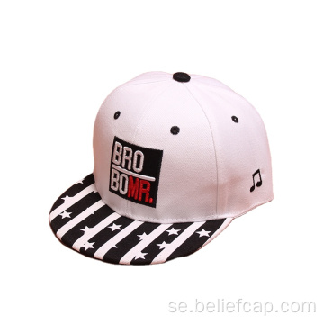 Platt 3D -lapp broderi barn barn snapback hattar